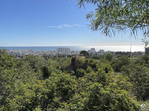 Vallpineda international community
